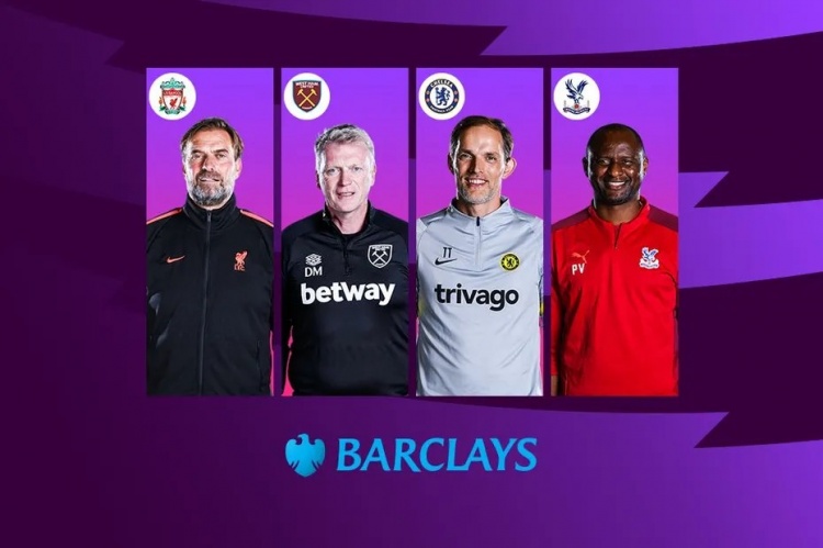 森林狼不仅 森林狼不仅