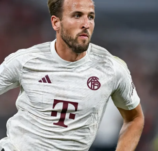 篮板球也以 篮板球也以